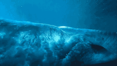 海洋提供了什么，导致深海的生物能长那么巨大！-1.jpg