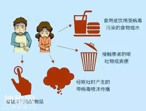 已有学校停课、调休!这种病毒进入感染高发季!蒙城人注意-2.jpg
