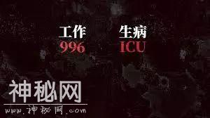 996 ICU:科技开始变坏，是从规则霸权开始-17.jpg