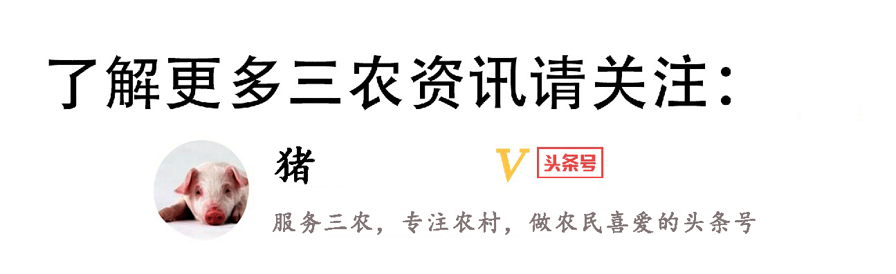 农村丧葬习俗讲究多，从“倒头纸”到“居丧”15种风俗，逐一揭秘-1.jpg