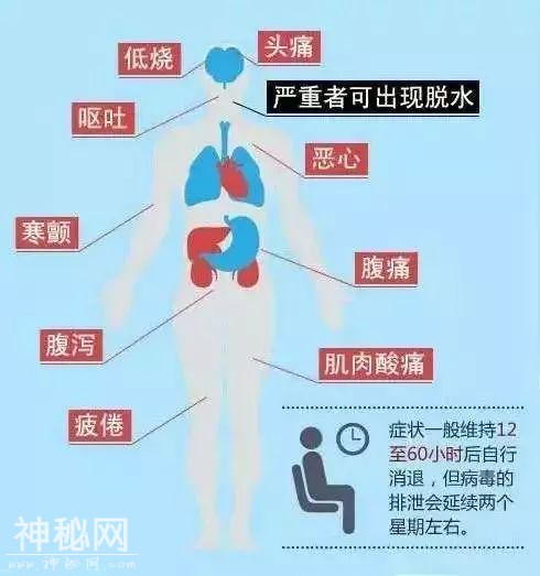 紧急提醒！这种病毒进入感染高发季，多名幼儿中招！家长们一定注意-2.jpg