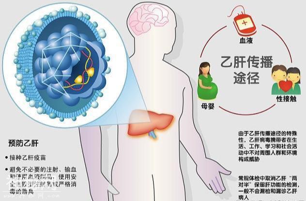检查乙肝病毒DNA有哪些作用？7个作用不容小觑！-1.jpg