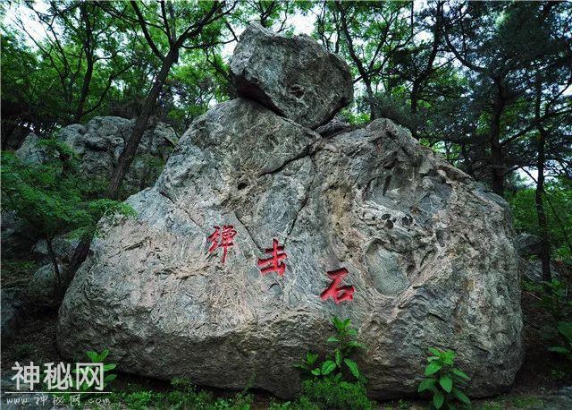 世界级荣誉！沂蒙山提名世界地质公园！-35.jpg