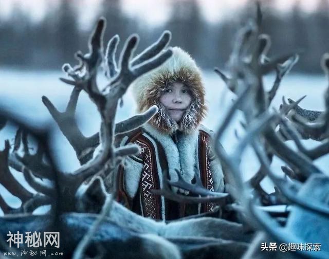 北半球冻土被无情融化，专家担忧沉睡炭疽病毒和其它有毒物被唤醒-5.jpg