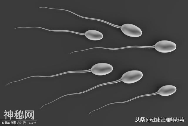 健康养生之食疗养肾！-1.jpg