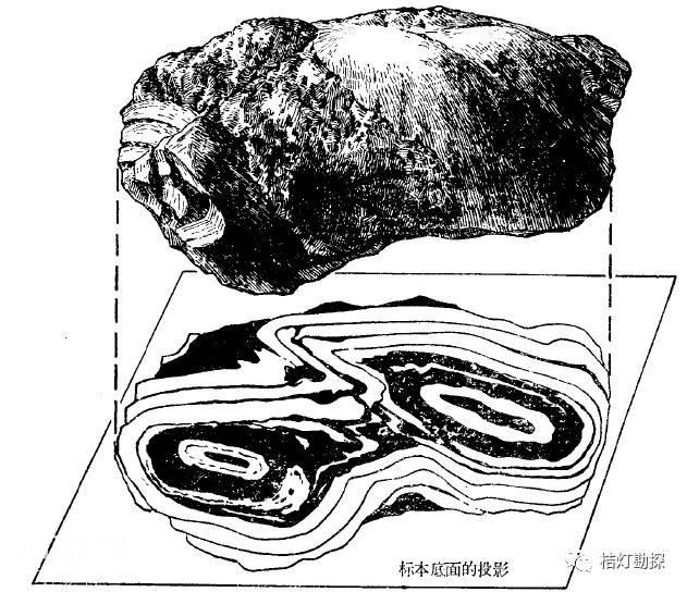 致敬老一辈地质人！（2）-66.jpg