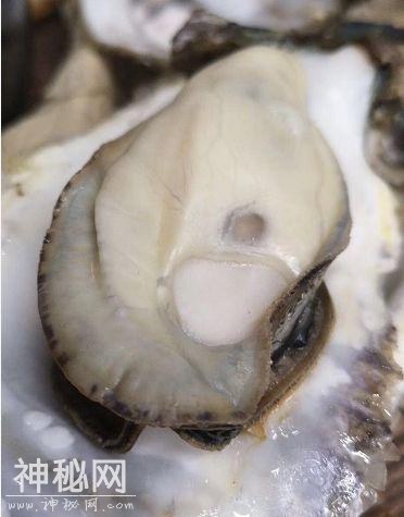 4名健身教练被两打生蚝放倒！疾控专家：又是这种病毒-3.jpg