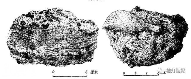 致敬老一辈地质人！-30.jpg