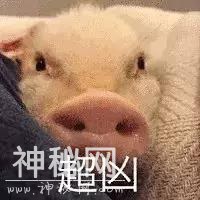 病毒来了！多地幼儿园停课，孩子出现这种情况别大意-3.jpg