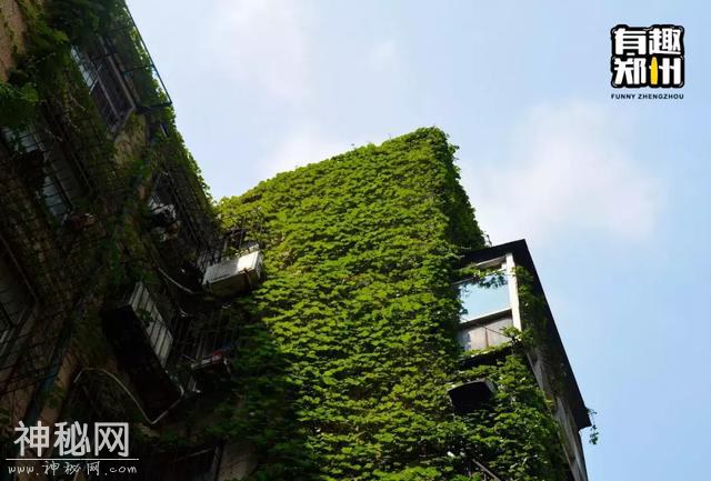 科技市场没科技，只有一群IT民工和他们的郑州梦-12.jpg