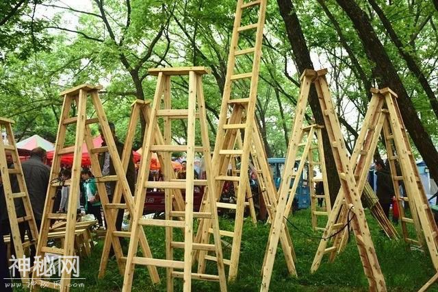 交易额上百万！3·15新县吴陈河大别山民俗博览会异彩纷呈-17.jpg