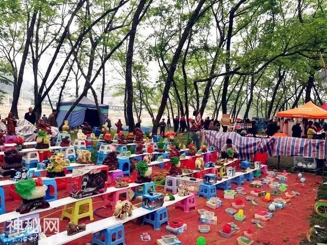交易额上百万！3·15新县吴陈河大别山民俗博览会异彩纷呈-19.jpg