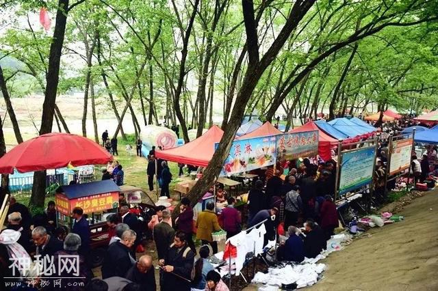 交易额上百万！3·15新县吴陈河大别山民俗博览会异彩纷呈-42.jpg