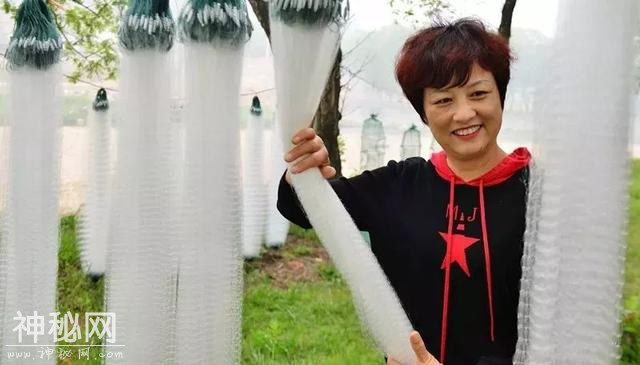 交易额上百万！3·15新县吴陈河大别山民俗博览会异彩纷呈-48.jpg