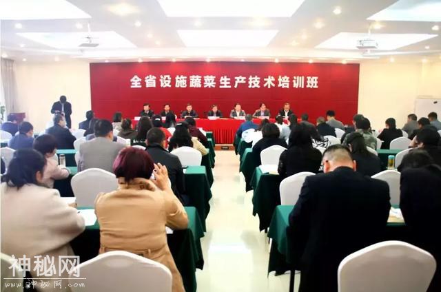 科技杨凌 | 聚焦千亿产业，陕西设施蔬菜生产大培训启幕！-3.jpg