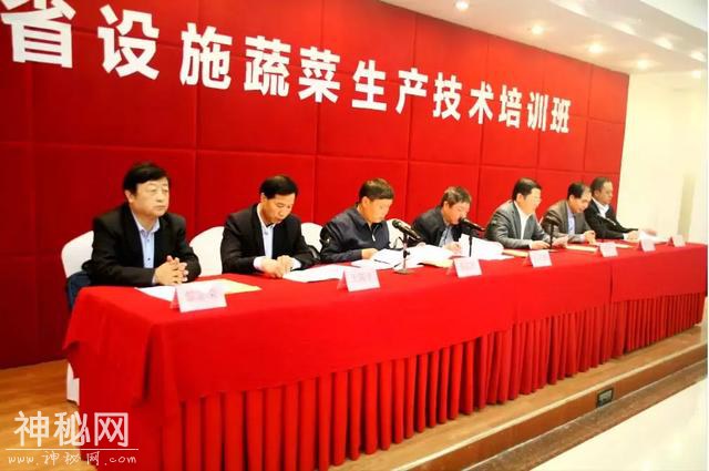 科技杨凌 | 聚焦千亿产业，陕西设施蔬菜生产大培训启幕！-1.jpg