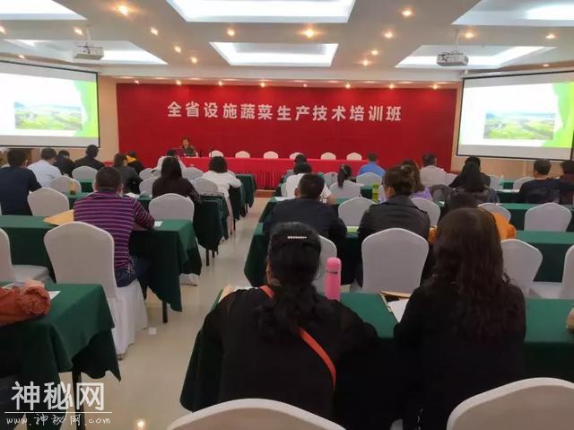 科技杨凌 | 聚焦千亿产业，陕西设施蔬菜生产大培训启幕！-4.jpg