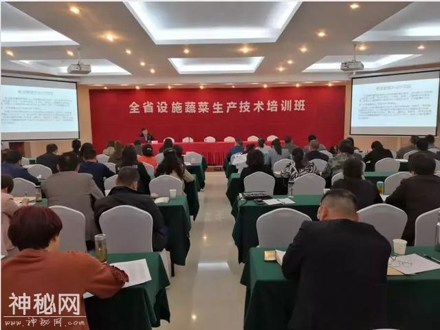科技杨凌 | 聚焦千亿产业，陕西设施蔬菜生产大培训启幕！-6.jpg