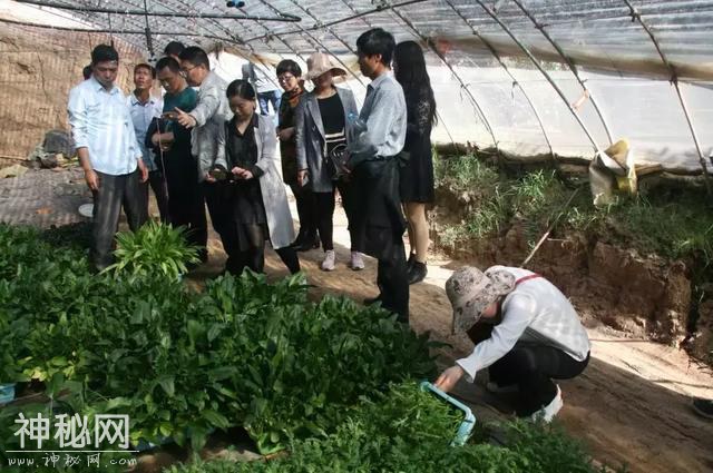 科技杨凌 | 聚焦千亿产业，陕西设施蔬菜生产大培训启幕！-10.jpg