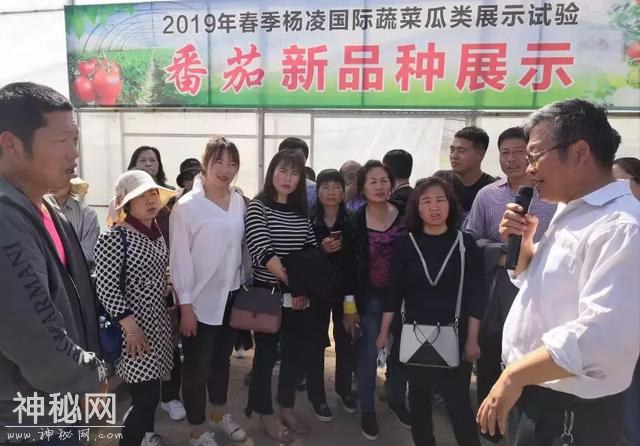 科技杨凌 | 聚焦千亿产业，陕西设施蔬菜生产大培训启幕！-11.jpg