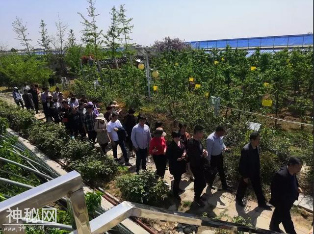 科技杨凌 | 聚焦千亿产业，陕西设施蔬菜生产大培训启幕！-19.jpg