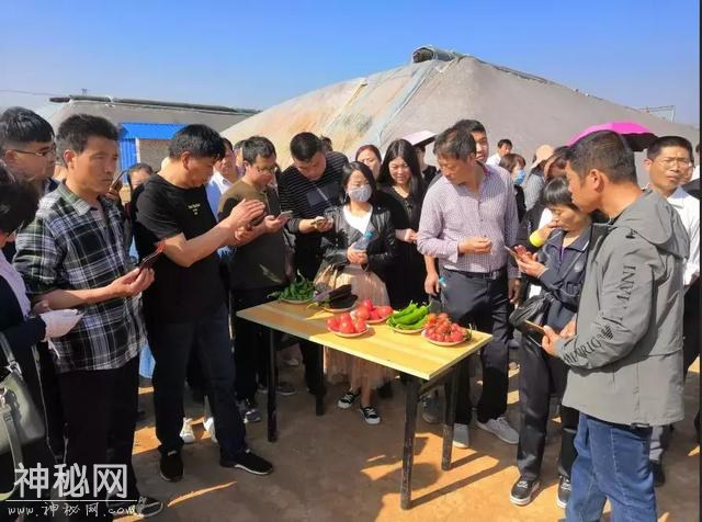 科技杨凌 | 聚焦千亿产业，陕西设施蔬菜生产大培训启幕！-15.jpg