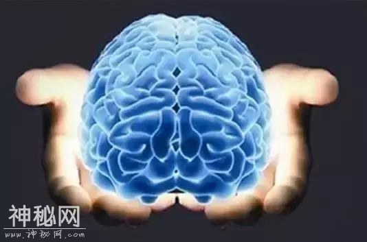 人类可能要战胜死亡了！重磅科技突破：短暂复活死掉的大脑-11.jpg