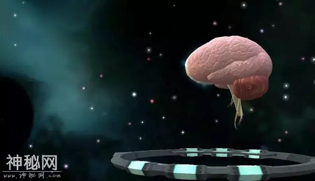 人类可能要战胜死亡了！重磅科技突破：短暂复活死掉的大脑-14.jpg