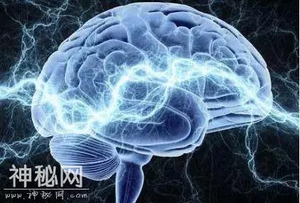 人类可能要战胜死亡了！重磅科技突破：短暂复活死掉的大脑-17.jpg
