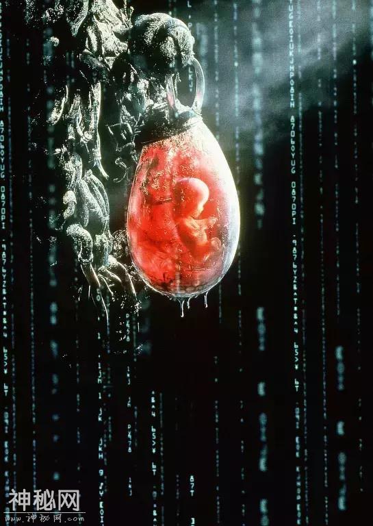 20年过去，它仍旧是第一科幻神片-8.jpg