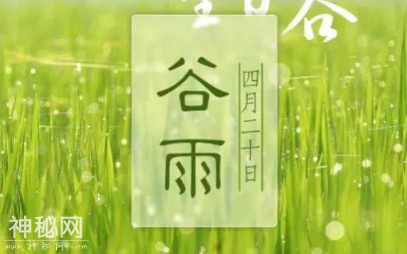 谷雨养生丨祛湿好时节，养好身体这“三处”，健康一整年！-1.jpg
