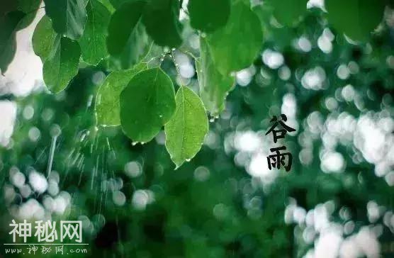 谷雨养生丨祛湿好时节，养好身体这“三处”，健康一整年！-2.jpg