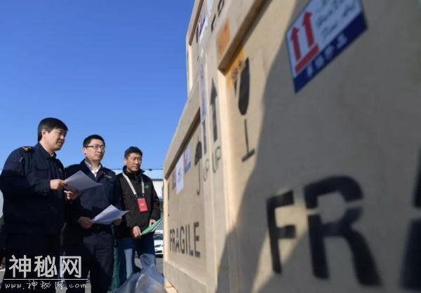 回来了！796件套意大利返还文物艺术品的回家路-8.jpg