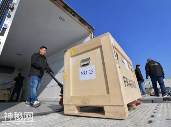 回来了！796件套意大利返还文物艺术品的回家路-9.jpg