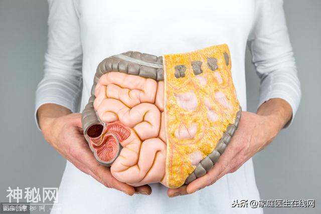身体有这4种“回应”，说明肠道病得不轻，请及时做检查-1.jpg