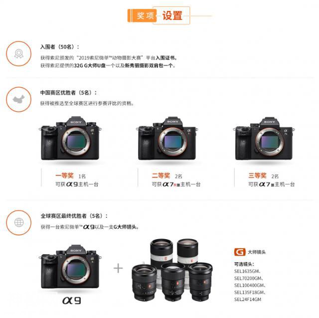 真正逆天“黑科技”实测索尼 A7M3 实时动物眼部对焦-3.jpg