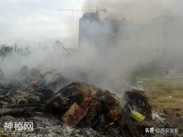 为什么中国这么急着搞垃圾分类-9.jpg