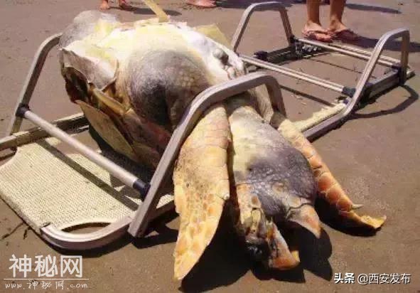为什么中国这么急着搞垃圾分类-20.jpg