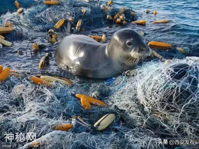 为什么中国这么急着搞垃圾分类-13.jpg