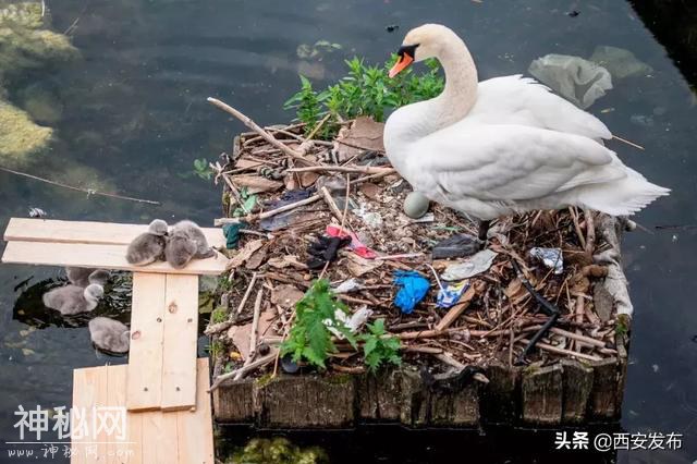 为什么中国这么急着搞垃圾分类-15.jpg