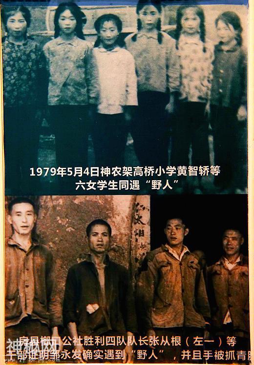 神农架到底有没有野人？40多年来，有谁真正见到了野人？-6.jpg
