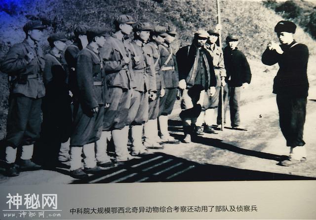 神农架到底有没有野人？40多年来，有谁真正见到了野人？-3.jpg