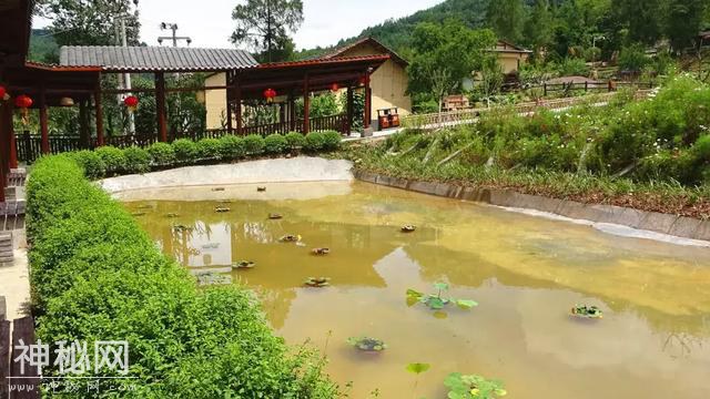人山人海！通江这个民俗村火了-10.jpg