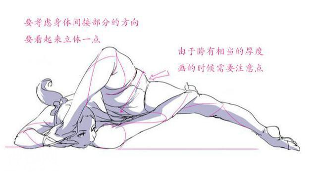 「干货」1分钟看完人体结构，你想要的全在这了！-5.jpg