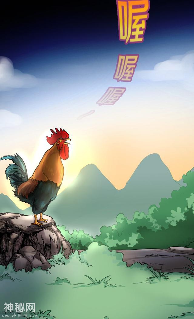 魔幻侦探悬疑漫画《剃头匠》：剃阴头行当里不为人知的奇人怪事-19.jpg