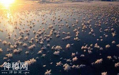 好神奇：31个震撼人心的自然现象，也许你一辈子都无法看到-37.jpg