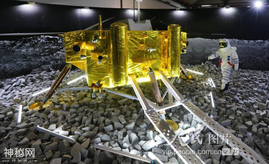 “生在宇宙”中国航天艺术科技展亮相上海浦东-2.jpg