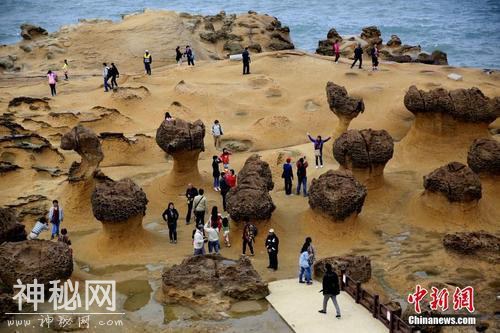 男子闯野柳地质公园垂钓被抓 最高可罚100万台币-1.jpg