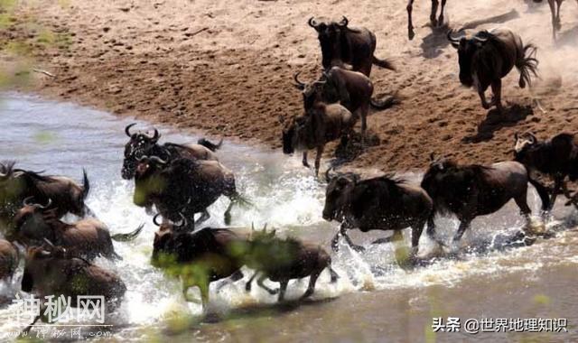 科学家至今无法解释的五大地理自然现象-1.jpg