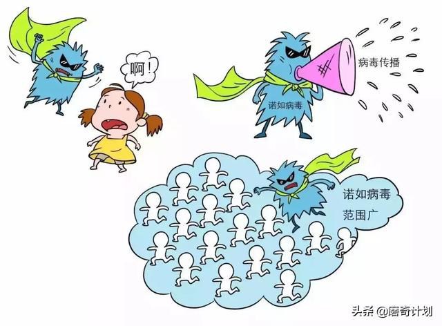 磨奇计划｜北京多人感染诺如病毒，家长孩子如何应对？-3.jpg